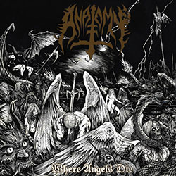 anatomy where angels die cover image
